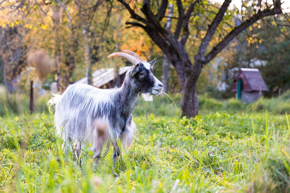 Photograph by Наталья Кузьменко