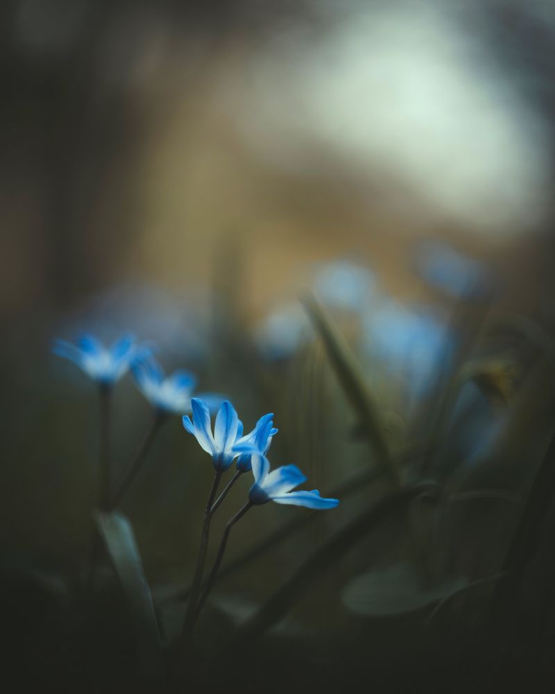 Photograph by Вайсберг Александр