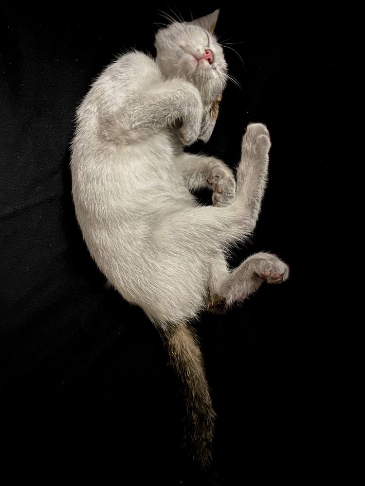 Photograph by Sergei