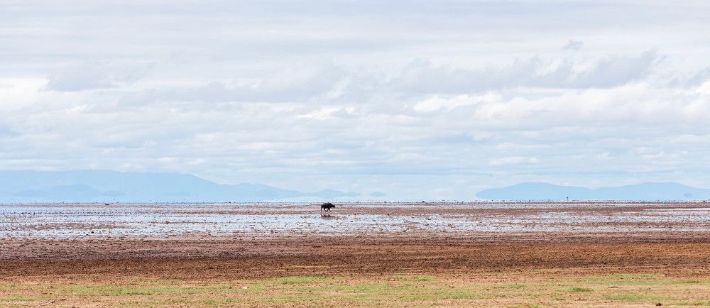 Photograph by Сергей Андрейчук