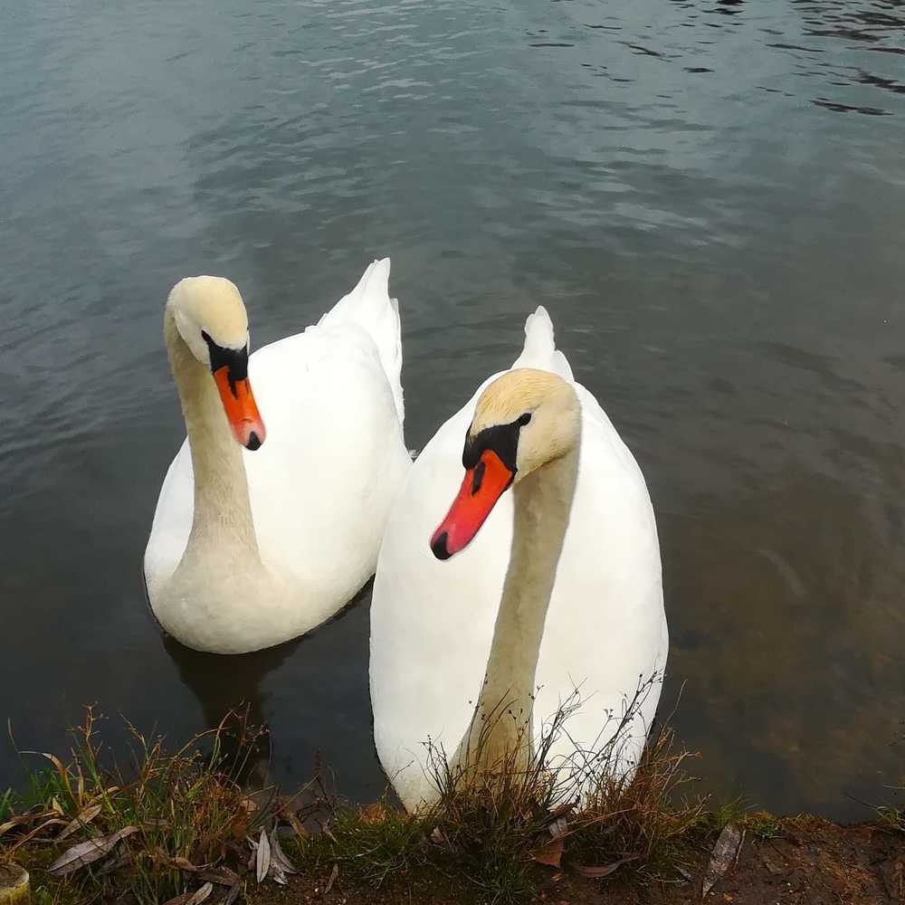 Photograph by Екатерина Супраненок