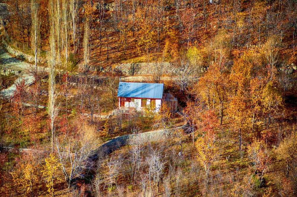 Photograph by DAMOUN POURNEMATI