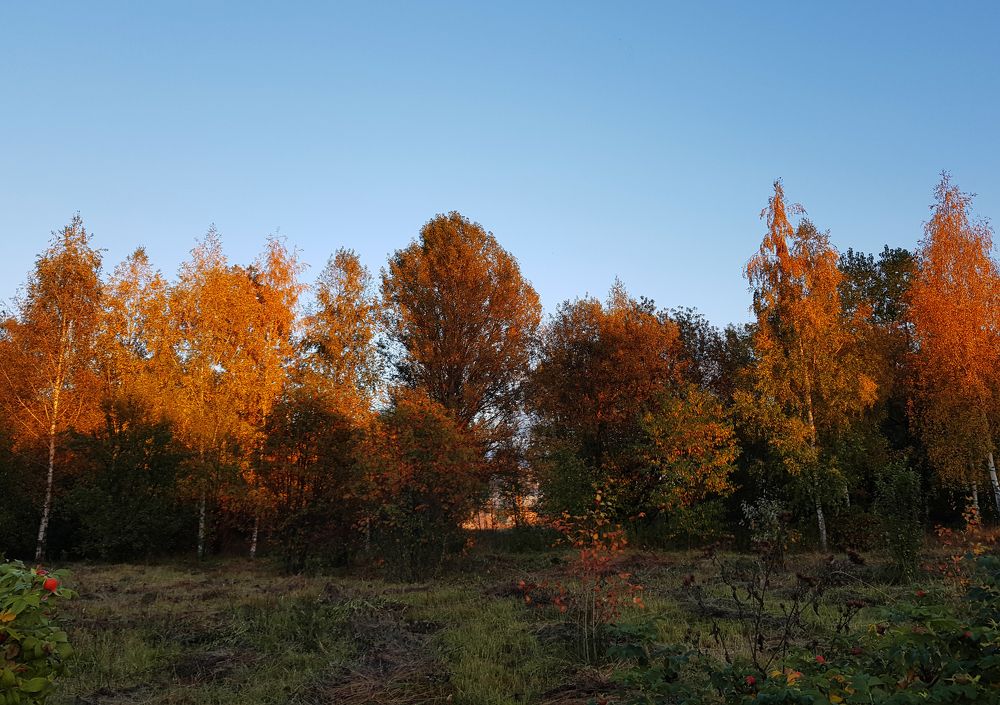 Photograph by Nataliya Kalinina