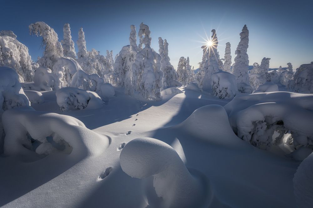 Photograph by Василий Яковлев