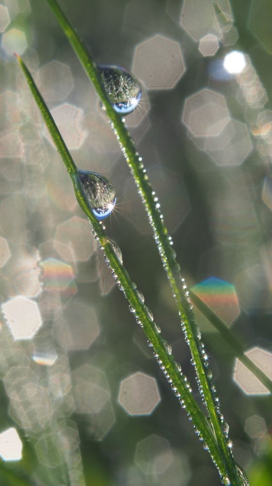 Photograph by Наталья