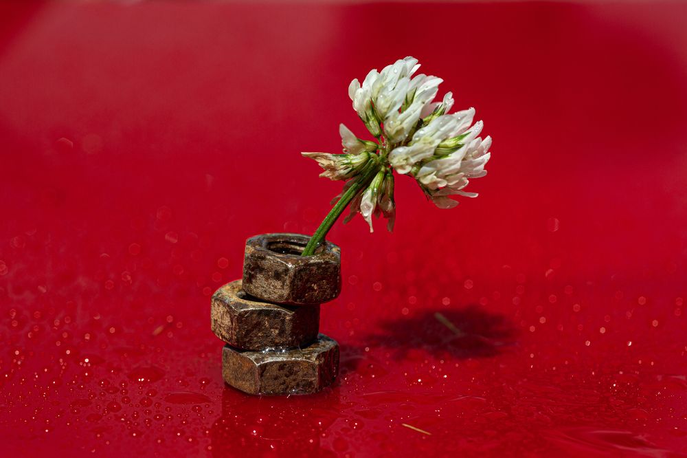 Photograph by Andrey Tarasyuk