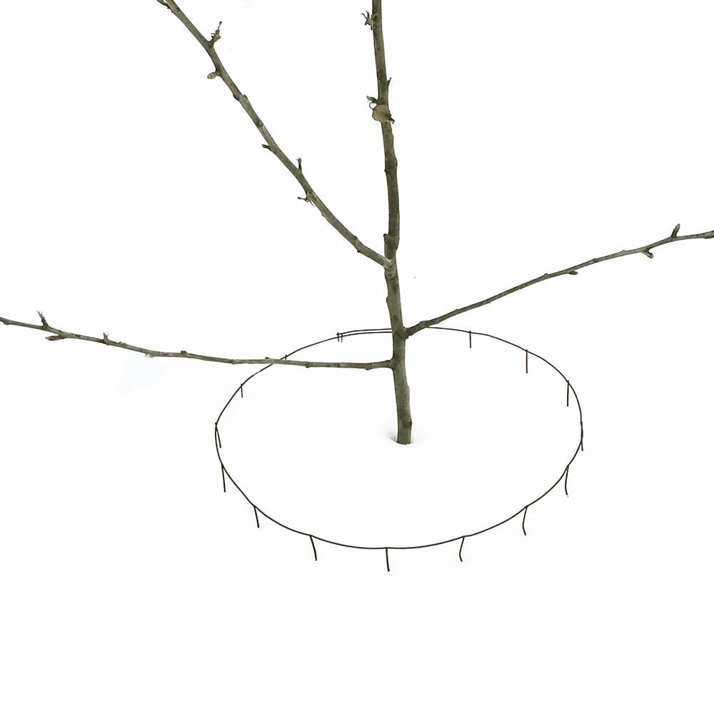 в окружении