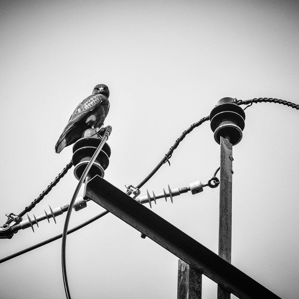 Photograph by Аряева Анна