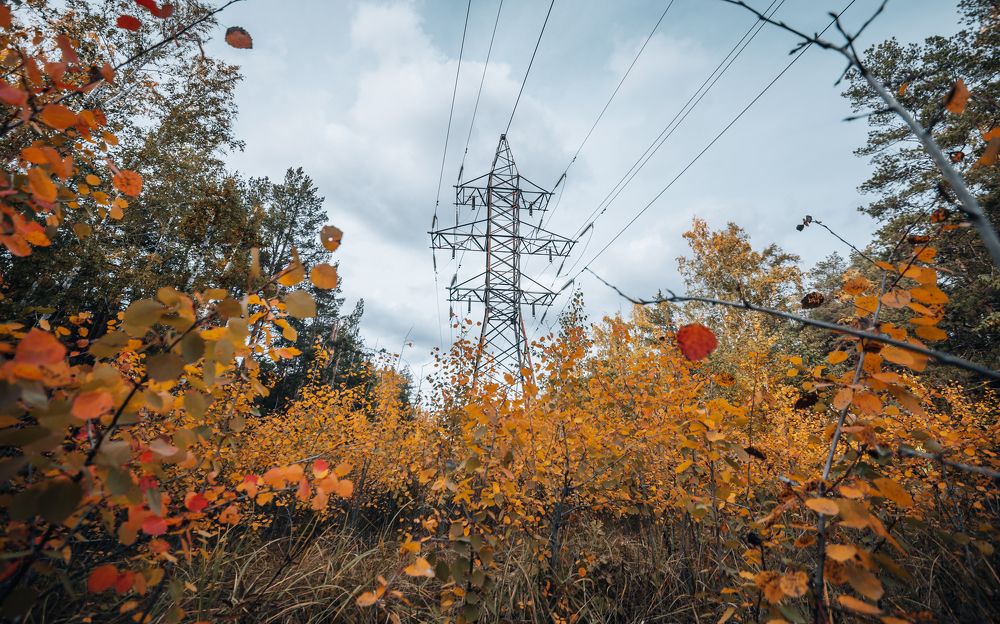 Photograph by Наталья Лапцевич