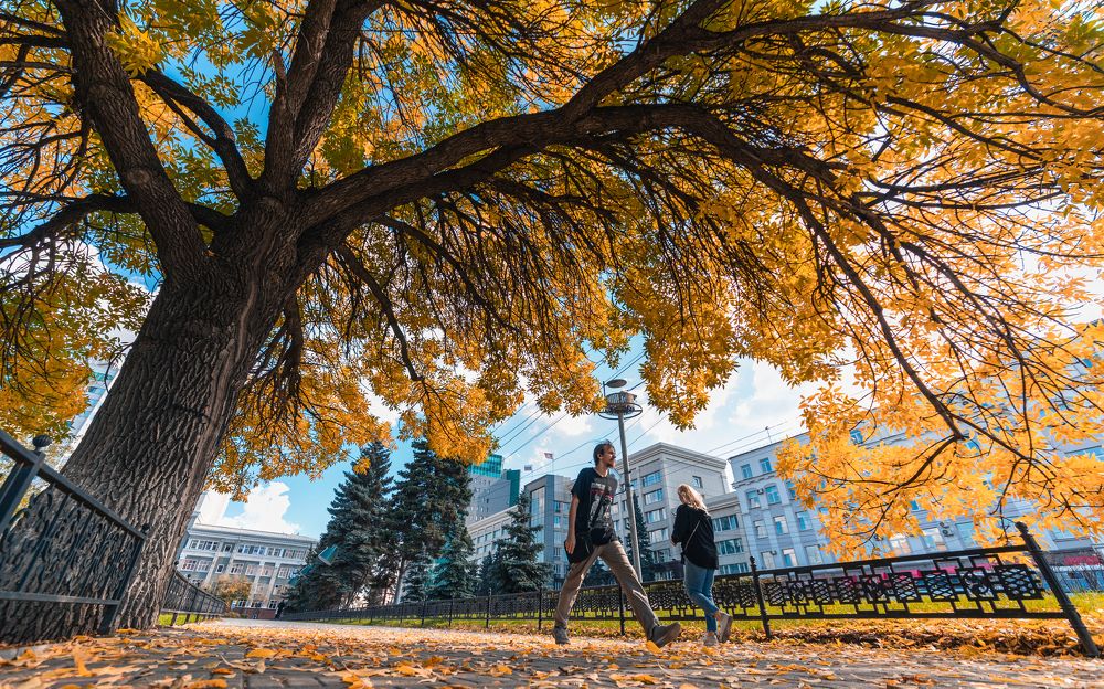 Photograph by Наталья Лапцевич