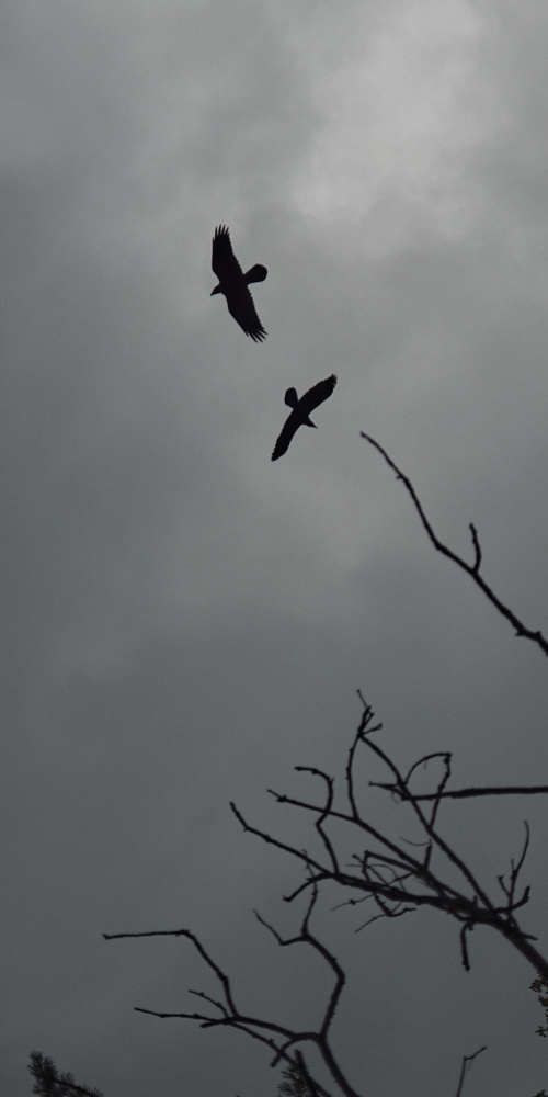 Photograph by Анастасия Ложкина