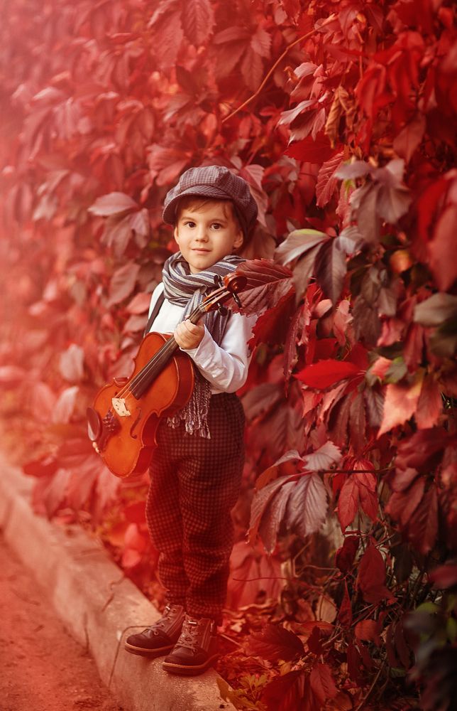 Розовый закат