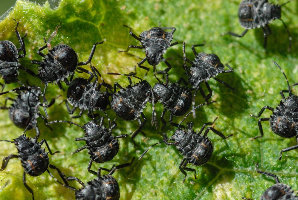 Photograph by Римма Волченко