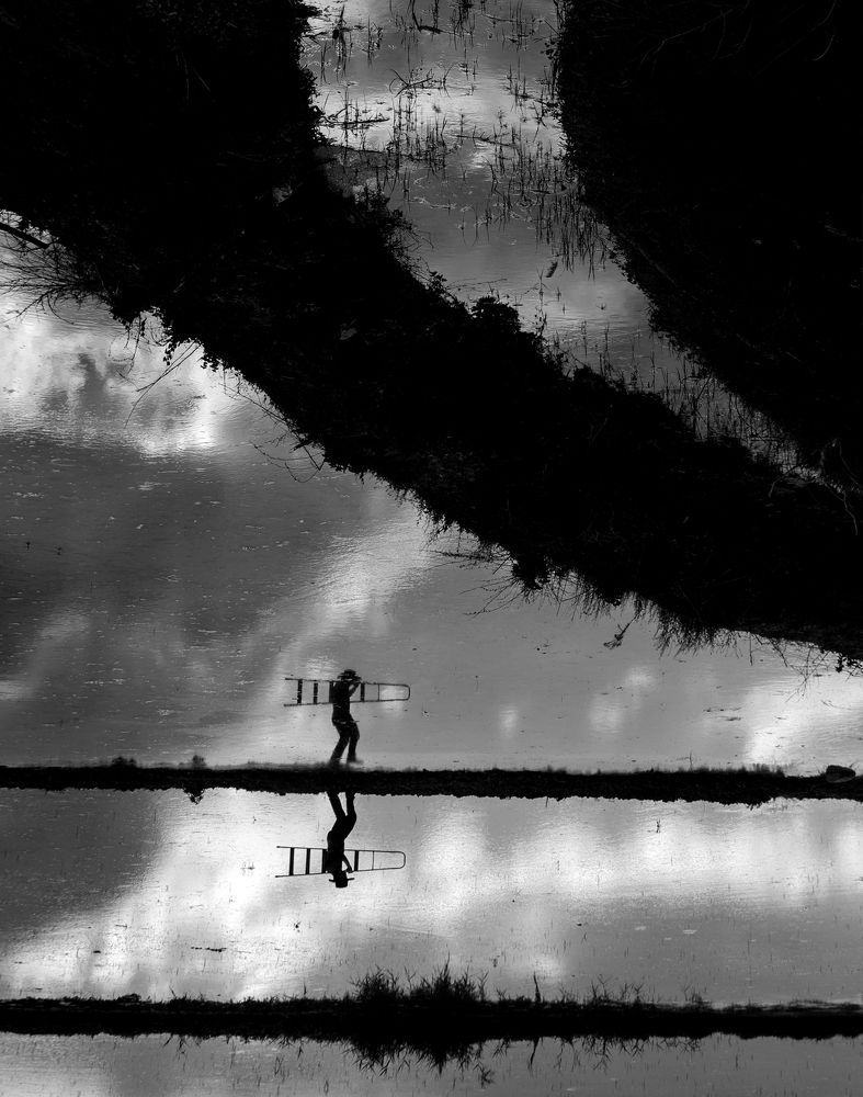 Photograph by Acar Ali