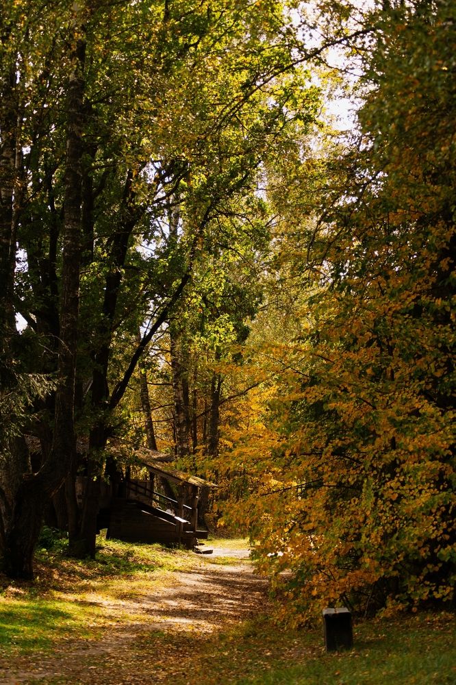 Photograph by Гюзель Даугуль