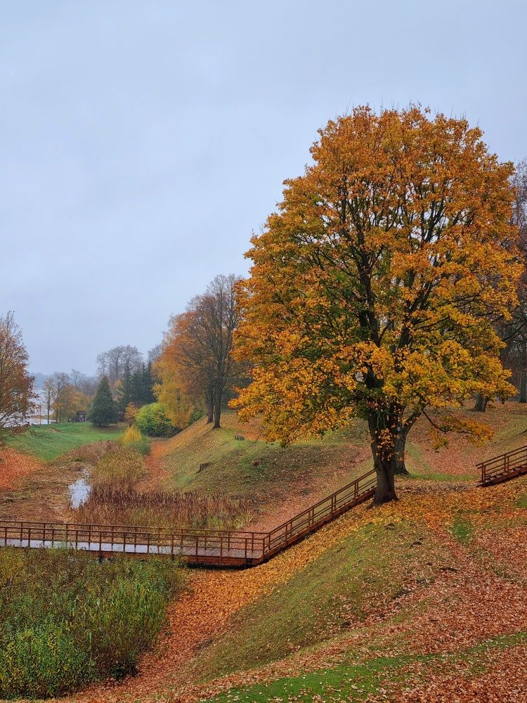 Photograph by Elena Tamošauskaite
