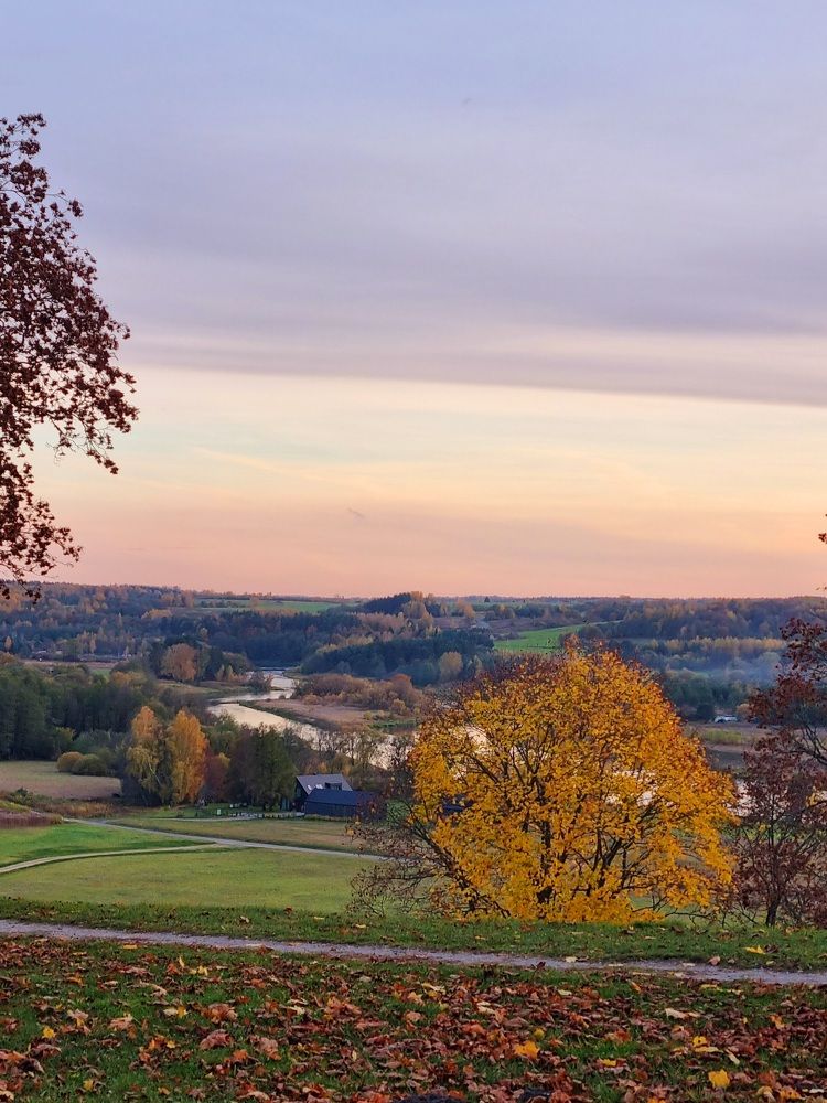Photograph by Elena Tamošauskaite