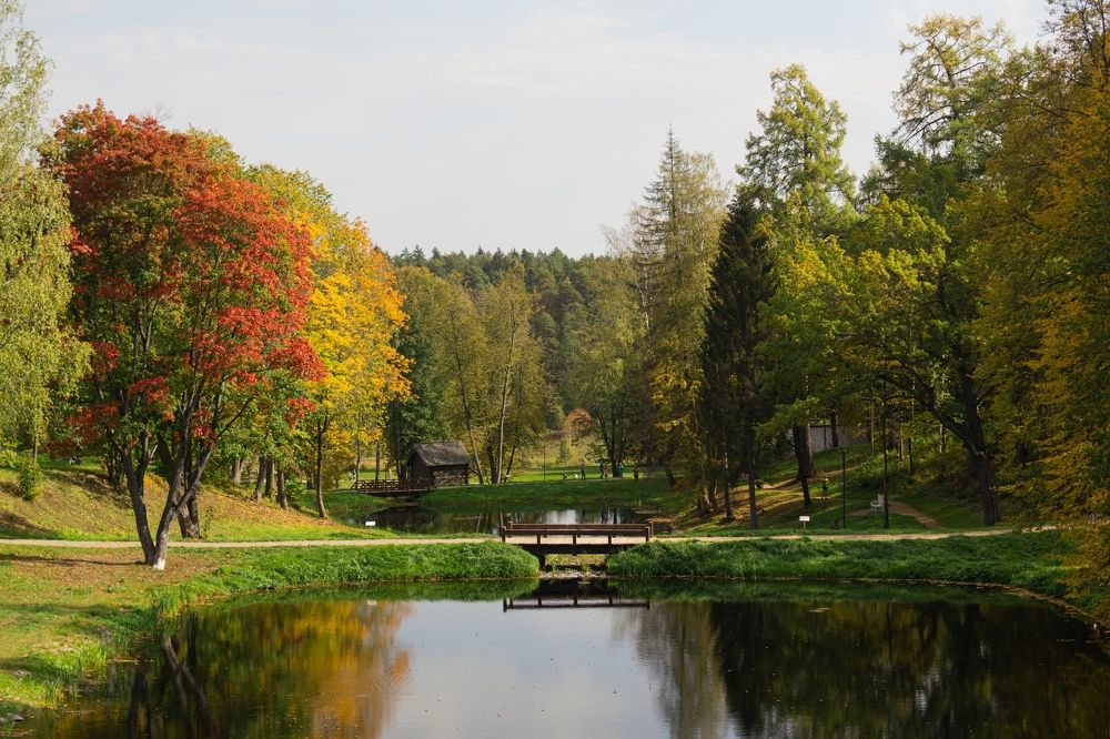 Photograph by Гюзель Даугуль