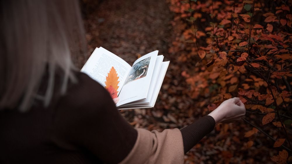 Photograph by Александр Битюков