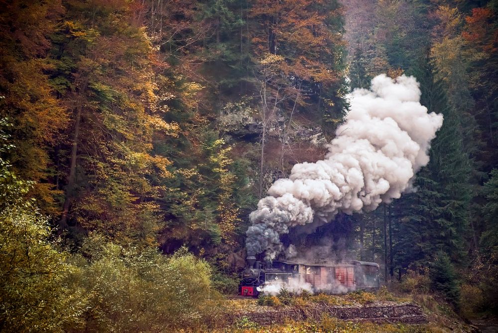 The steam train