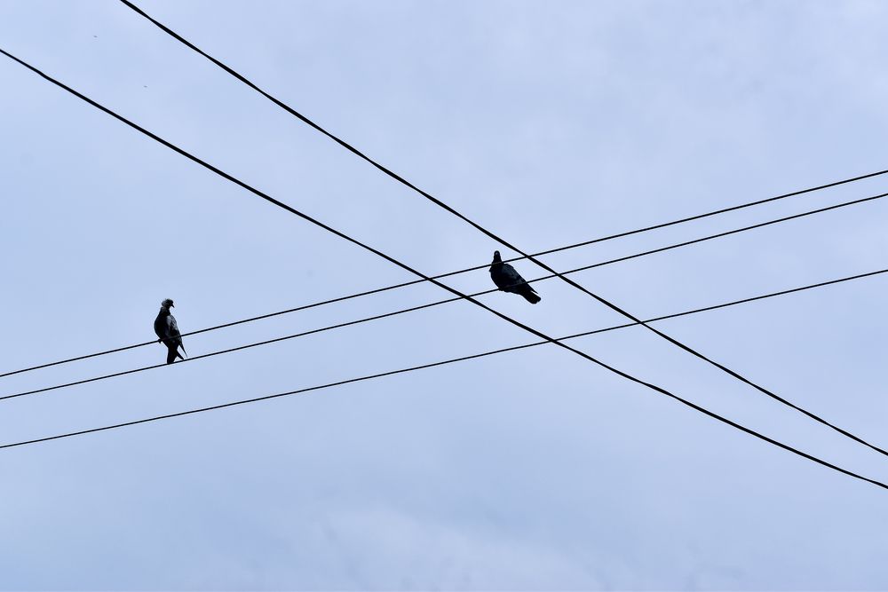 Photograph by Prasanta Roy