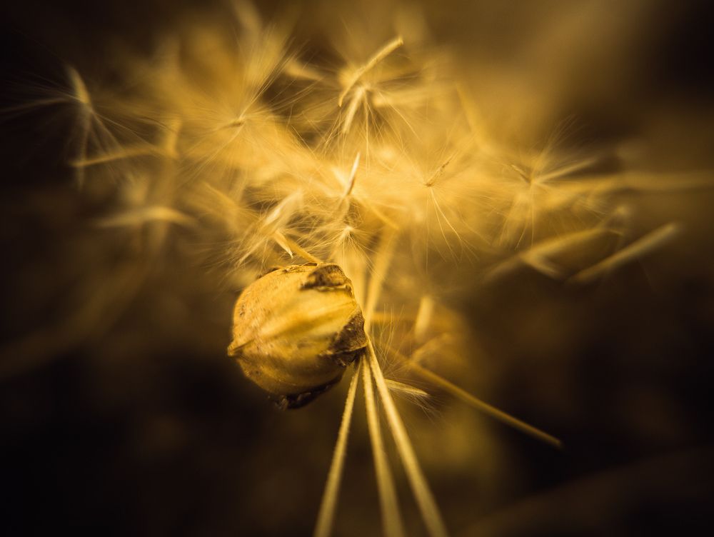 Photograph by Vitaliy