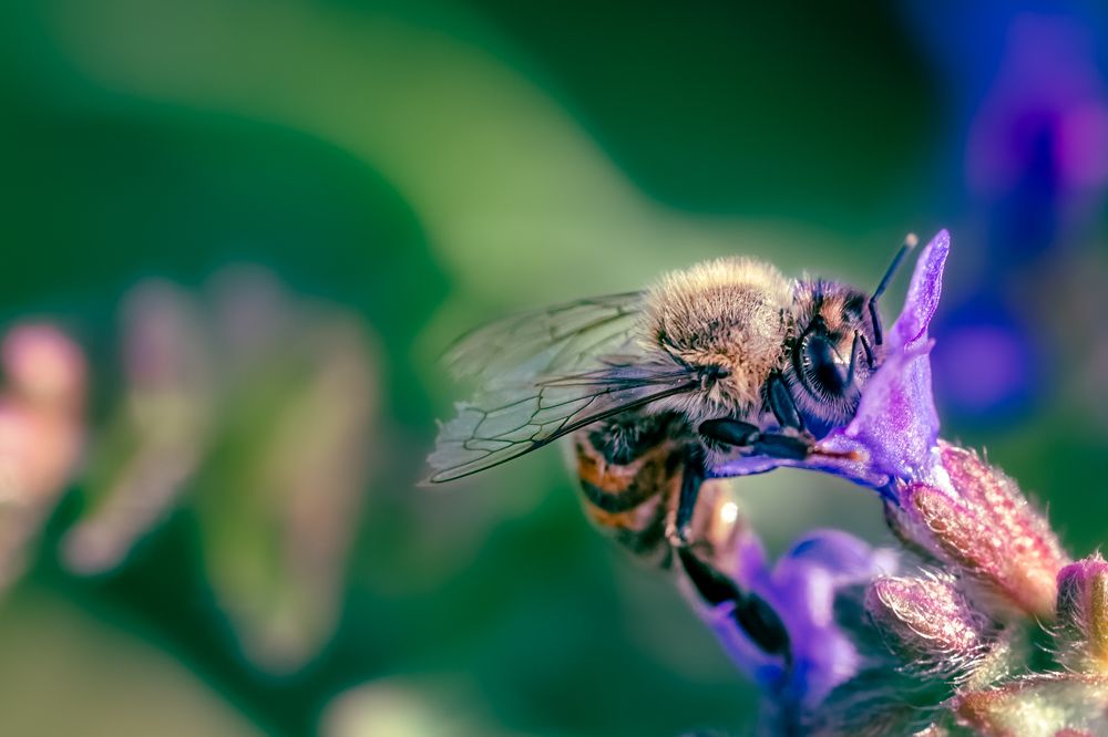 Photograph by Armands Andzans