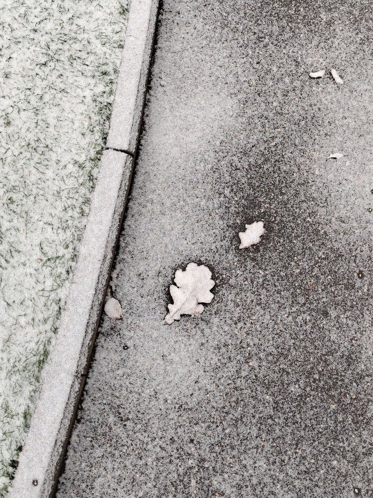 Photograph by Marina Green