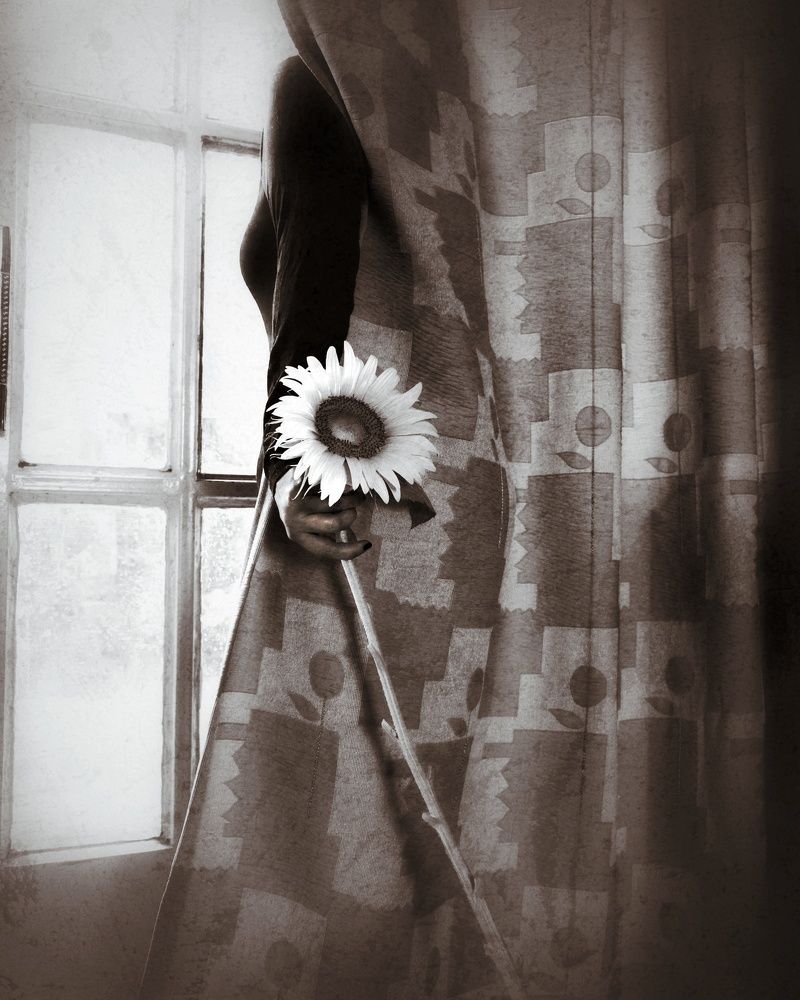 Фотография автора Mitra Amn