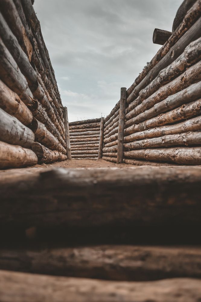 Photograph by Елена Жакова