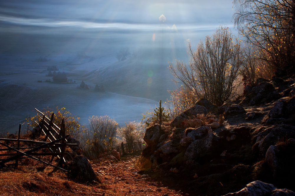 Фотография автора Ceausescu Adriana