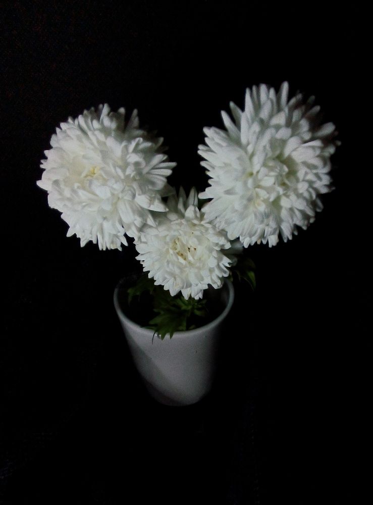 Photograph by Olga Kot