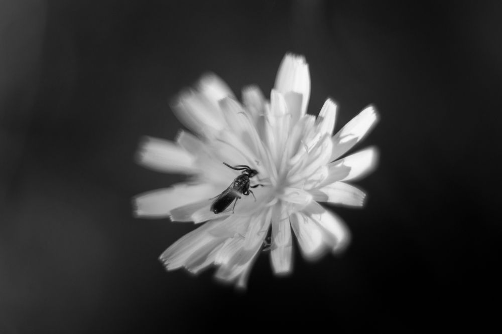 Photograph by Анастасия Оленченко