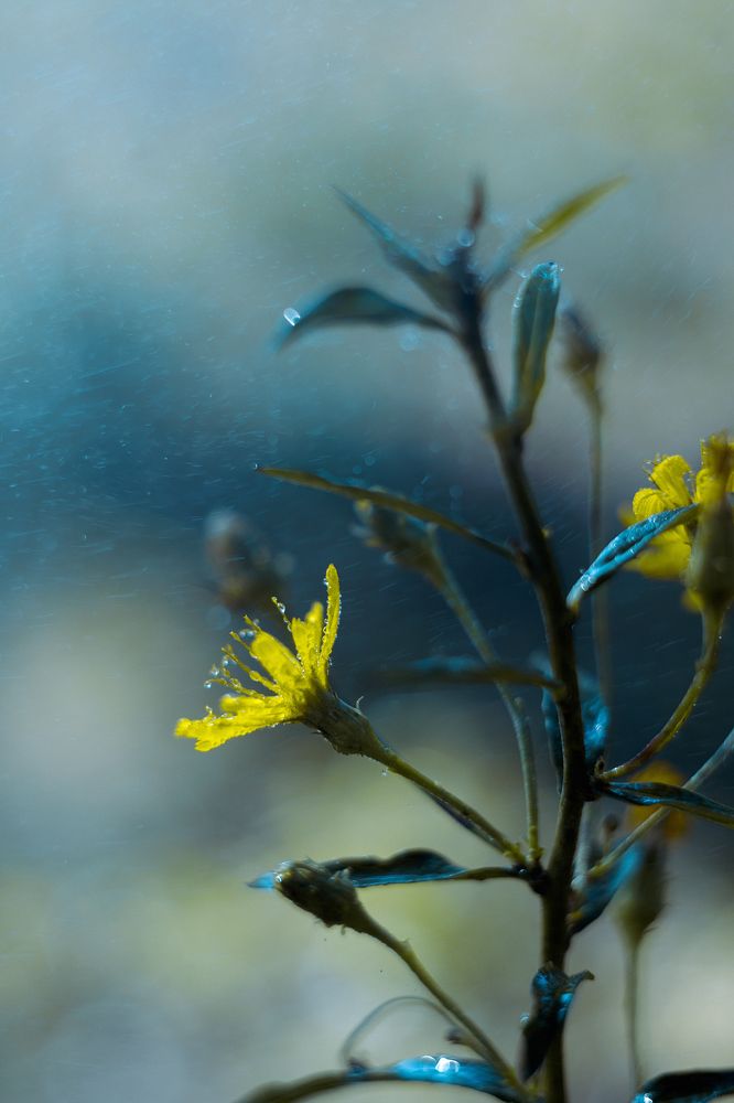 Photograph by Анастасия Оленченко