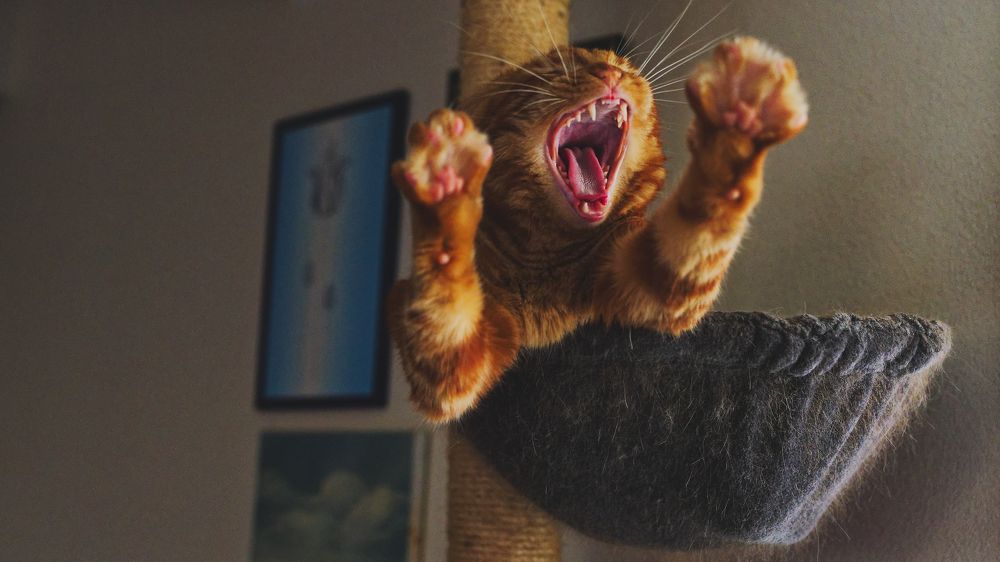 Photograph by Aleksei Degtjarjov