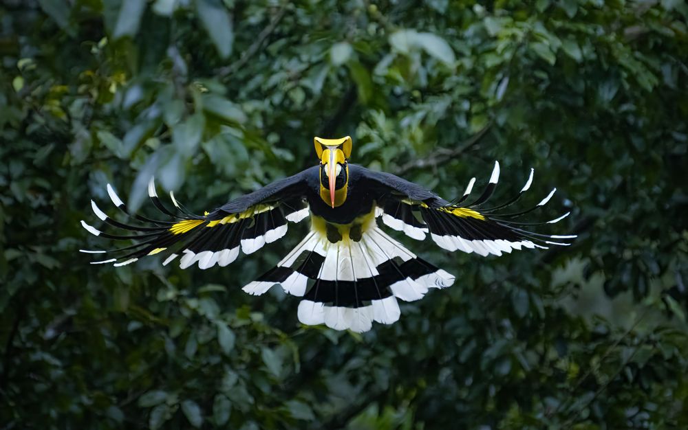 Photograph by Noushadali