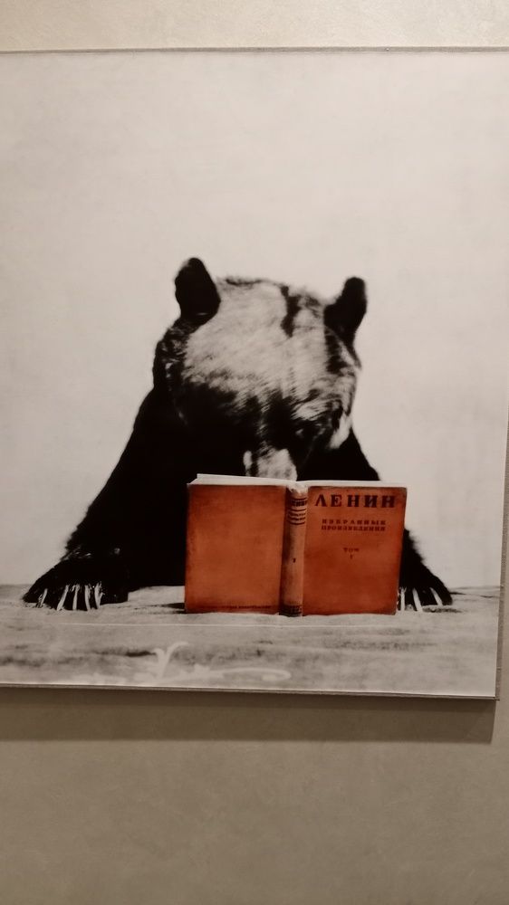 Photograph by Vadim Arutyunov