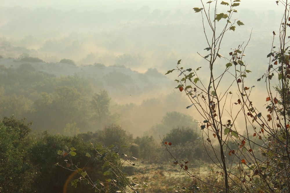Photograph by Panagiotis Batatolis