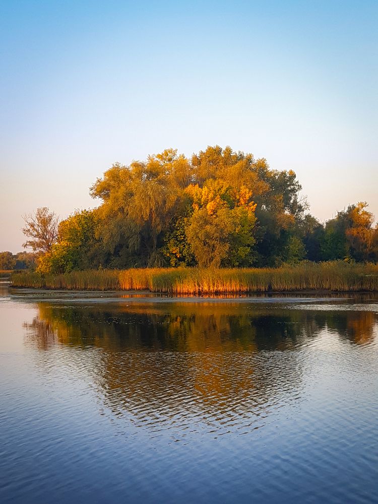 Photograph by Людмила