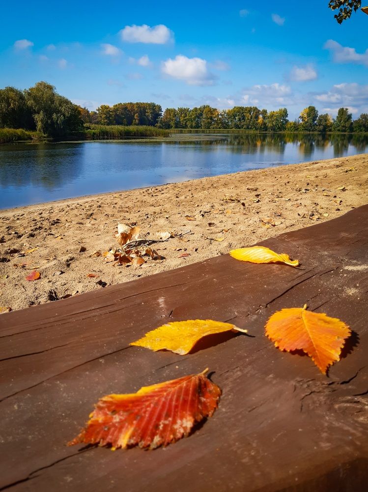 Photograph by Людмила