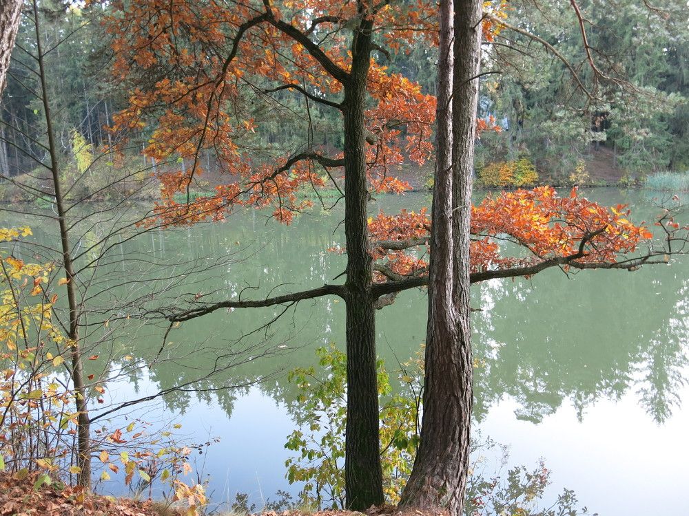 Photograph by ЭЛЬМИРА  ИСМАИЛОВА