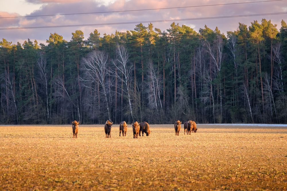 Photograph by Сергей Морозов
