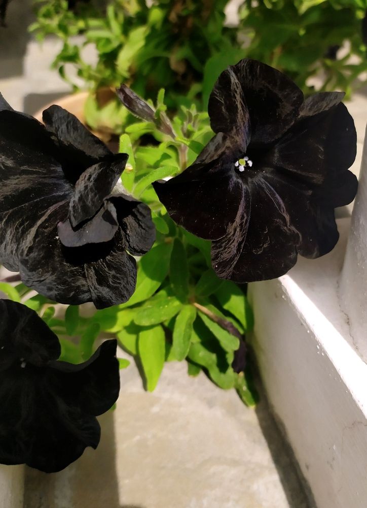 Photograph by Olga Kot