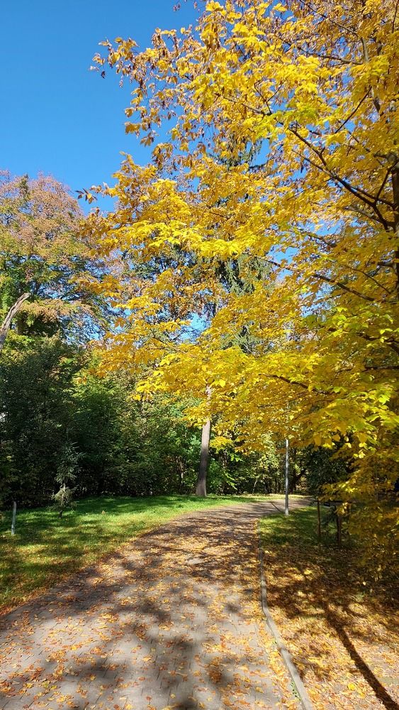 Photograph by Наталия Дроздова