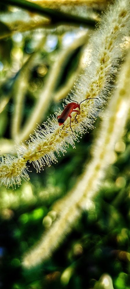 Photograph by Noemí Hornero Alonso