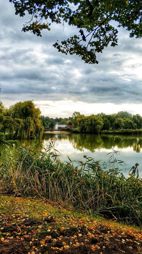 Photograph by Наталия Дроздова