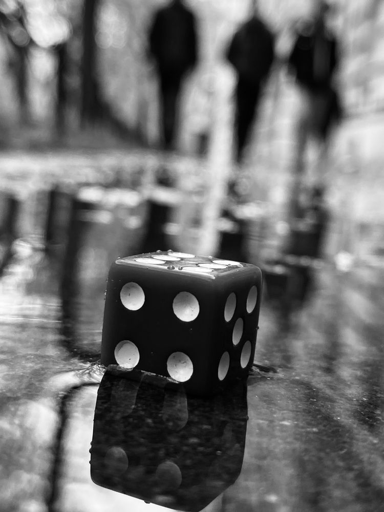 Фотография автора Анна Могилева