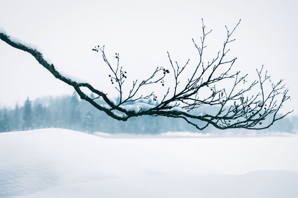 Выборгский минимализм