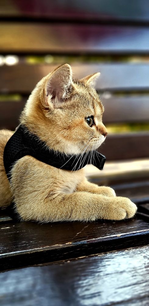 Photograph by INNA KHOMENKO