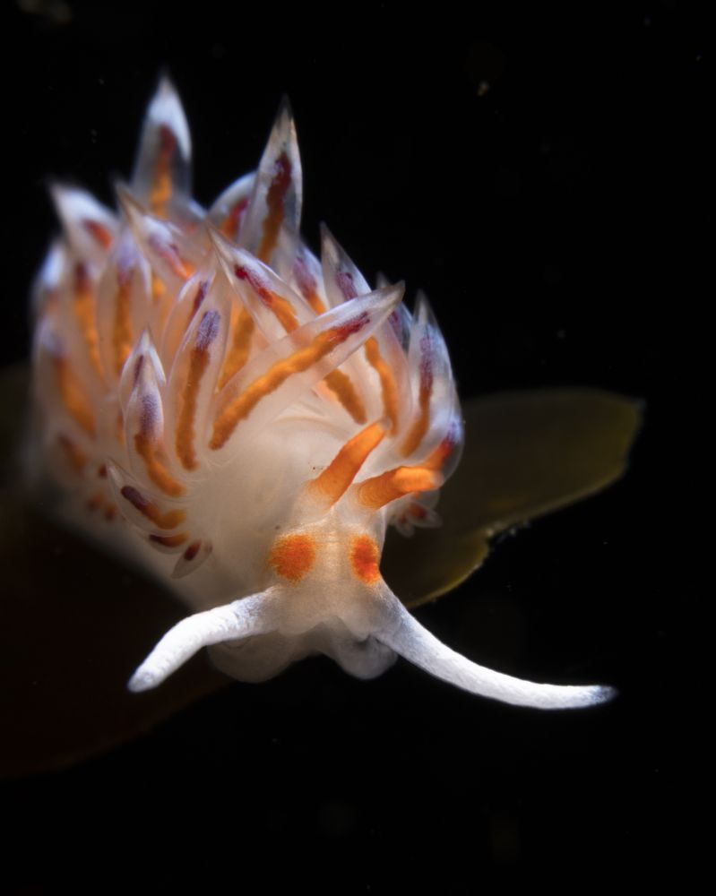 Фотография автора Jorge Luis Gil Rodríguez